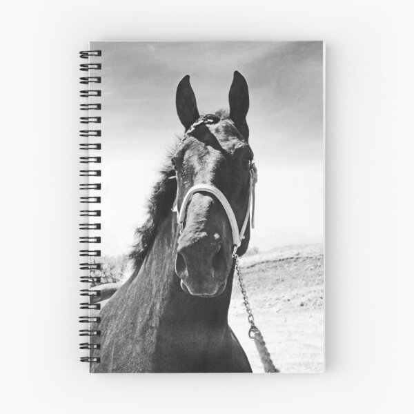 Item preview, Percheron Posing designed and sold by ALBzArt.