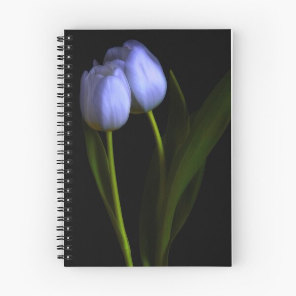 Item preview, Tulips designed and sold by Dania Reichmuth.