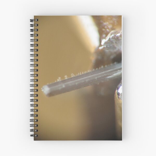 Item preview, Staple coming out of a stapler designed and sold by David D. Shaw.