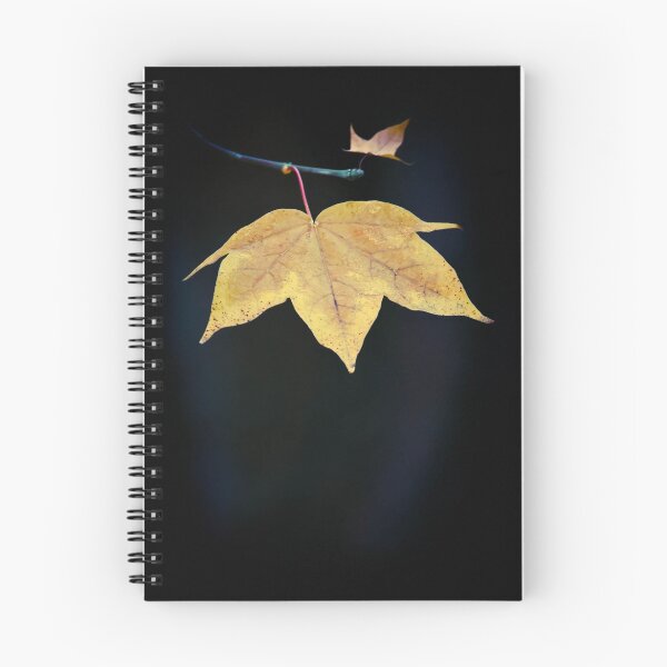 Item preview, Ready to Fall designed and sold by geoff curtis.