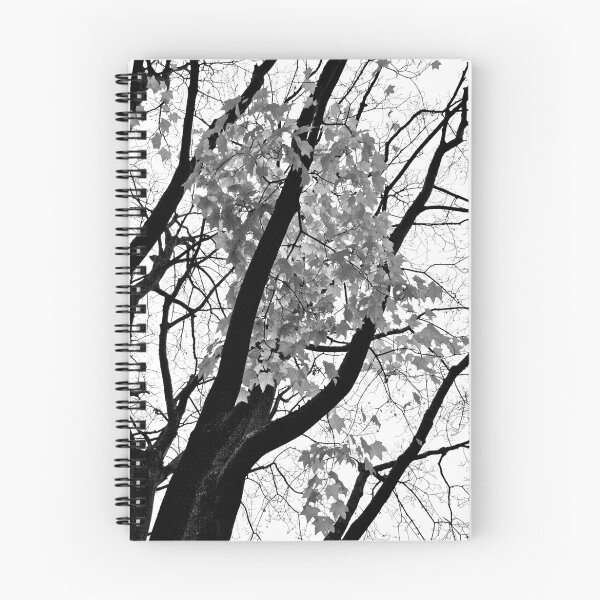 Aperçu de l'œuvre Black & White Tree, with leaves falling. créée et vendue par lendale.