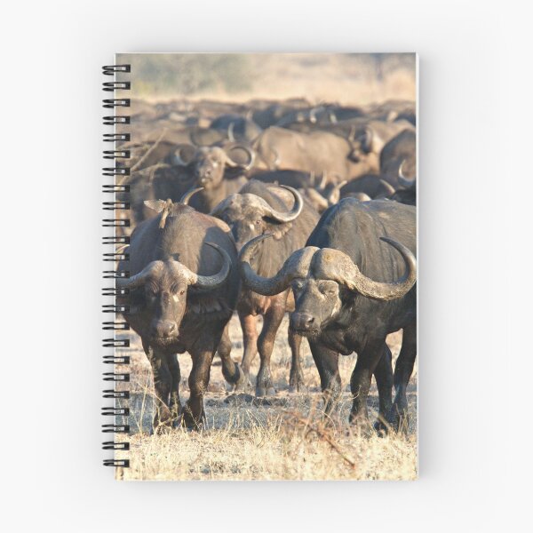Item preview, Stare Down ! designed and sold by Michael Moss Photography.