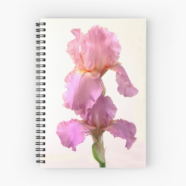 Item preview, pink iris designed and sold by picketty.