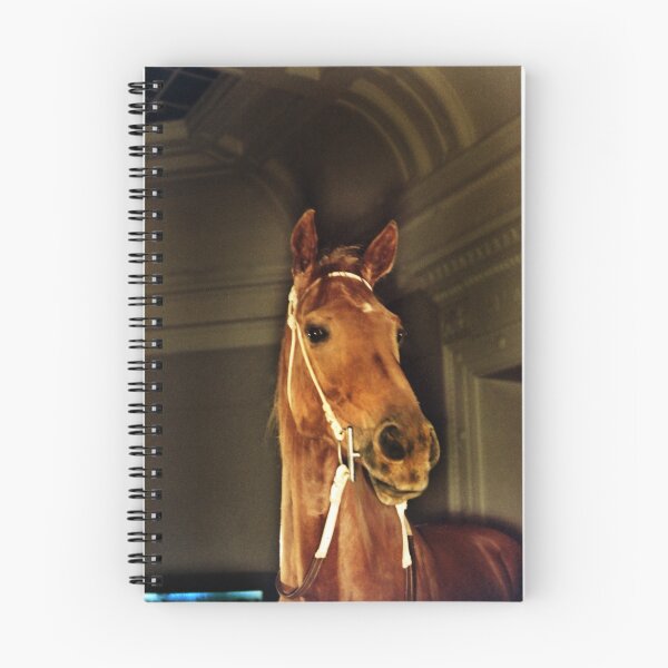 Item preview, PHAR LAP- LEGEND... designed and sold by Helen Akerstrom Photography.
