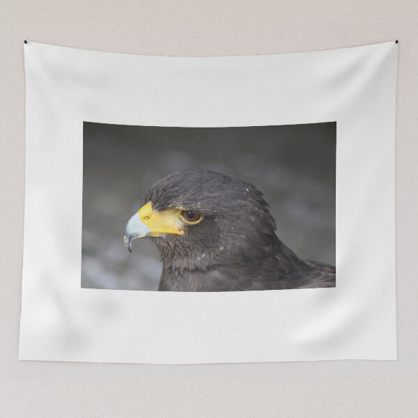 Item preview, Harris Hawk designed and sold by Alyce Taylor.