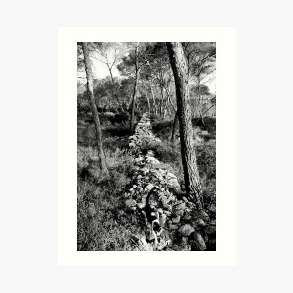 Free Forest Art Print