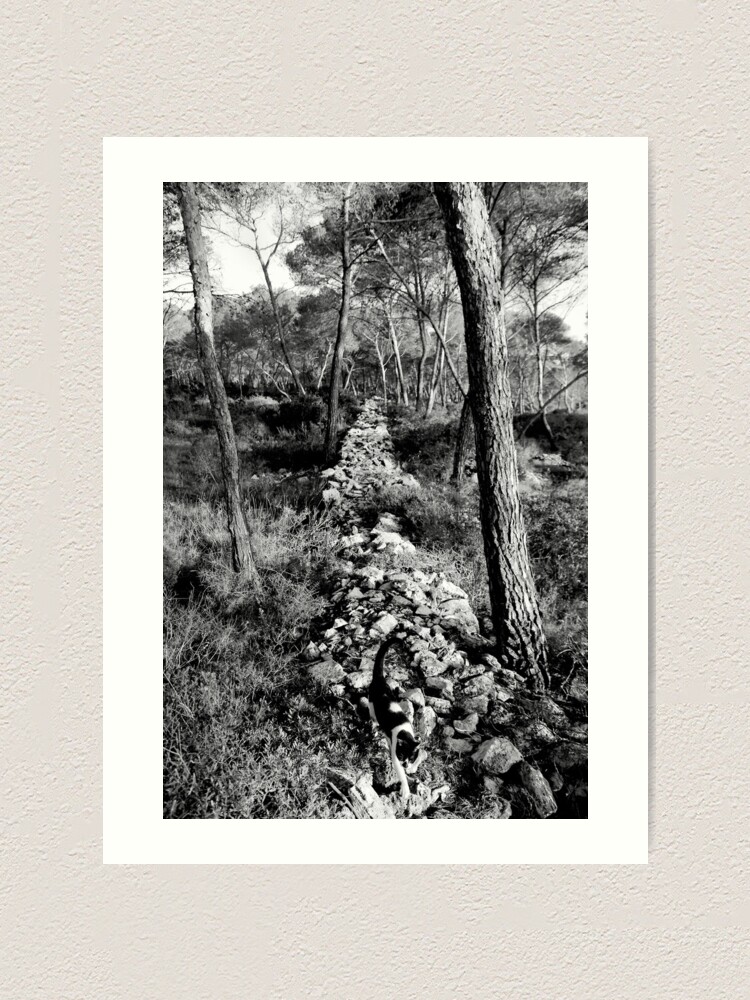 Alternate view of Free Forest Art Print
