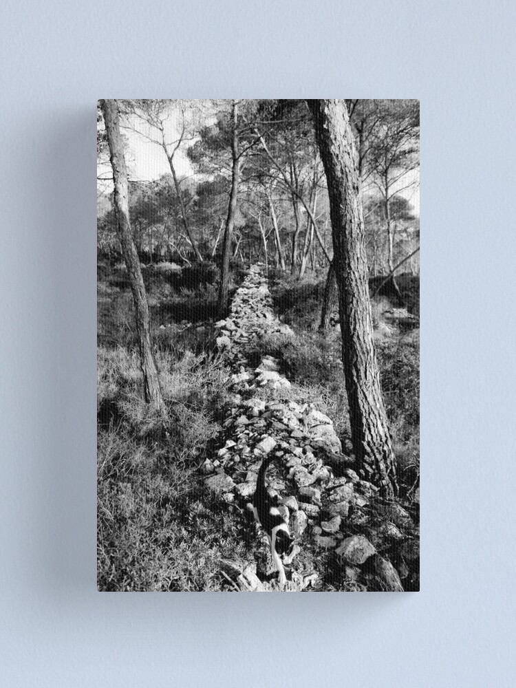 Alternate view of Free Forest Canvas Print