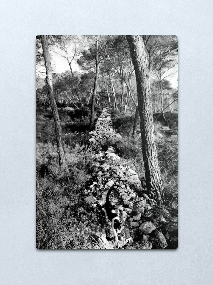 Alternate view of Free Forest Metal Print