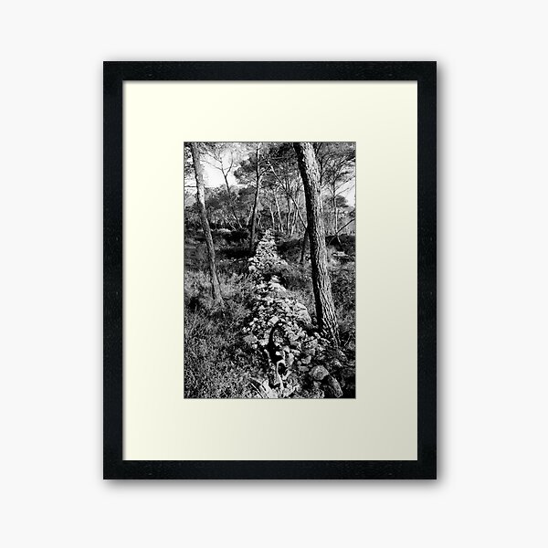 Free Forest Framed Art Print