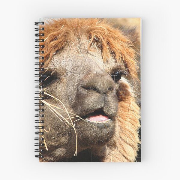 Item preview, Hey!!!! Don't Be Making Fun Of My Hair !!!!!! designed and sold by NatureGreeting Cards ©ccwri.