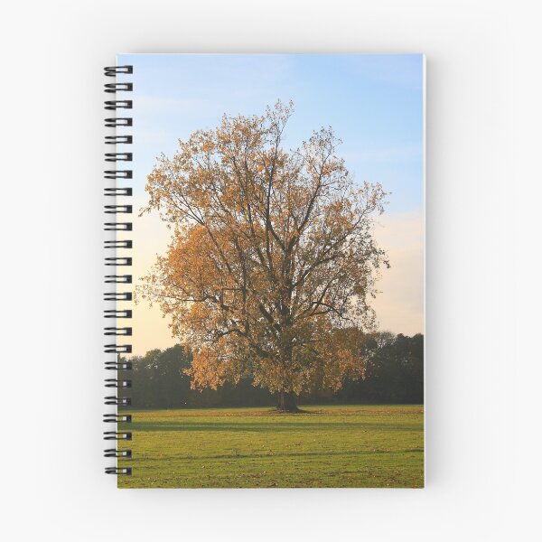 Item preview, Golden Falls designed and sold by Dave Godden.