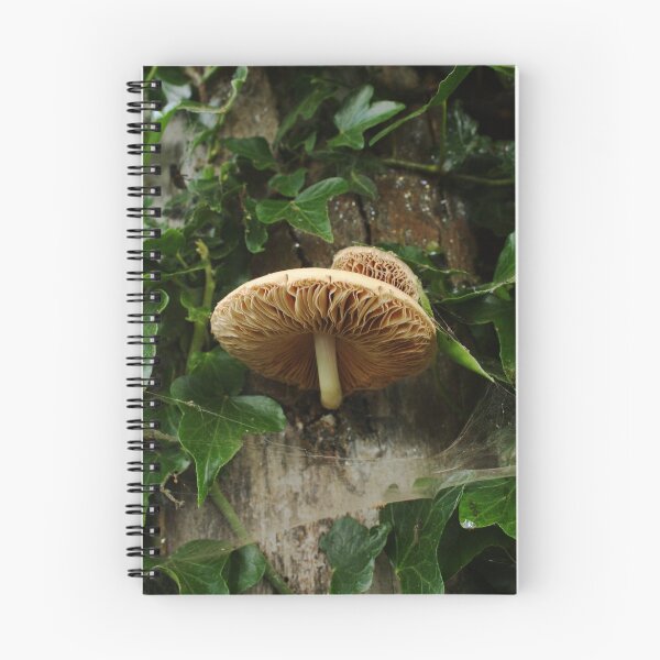 Item preview, Fungi twosome designed and sold by Anne Kingston.