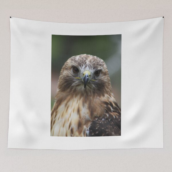 Item preview, Red-tailed Hawk designed and sold by Alyce Taylor.