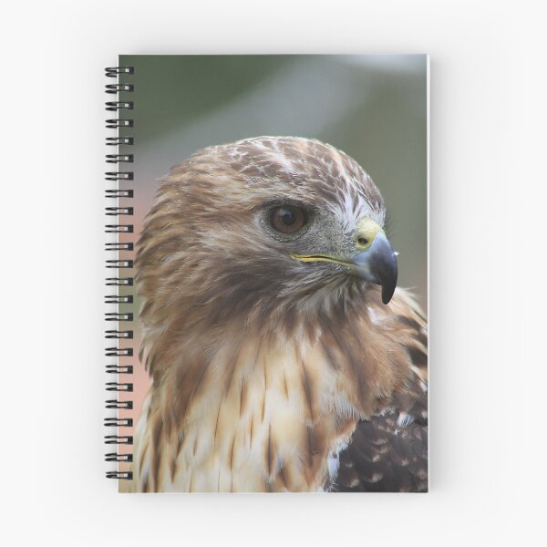 Item preview, Red-Tailed Hawk designed and sold by Alyce Taylor.