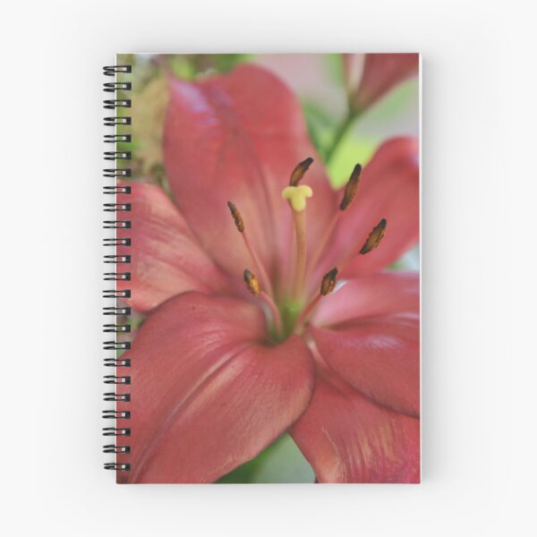 Artikelvorschau, Red flower close up entworfen und verkauft von James  Kerr.