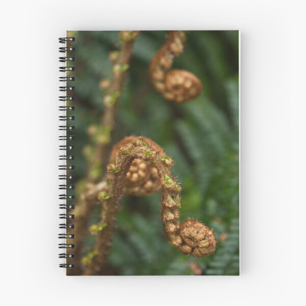 Item preview, Tree Fern designed and sold by Melanie Conroy.