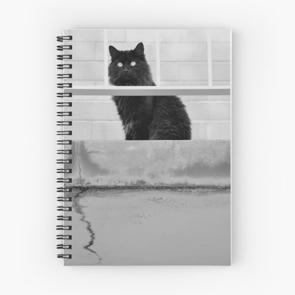 Item preview, That black cat again designed and sold by James  Kerr.