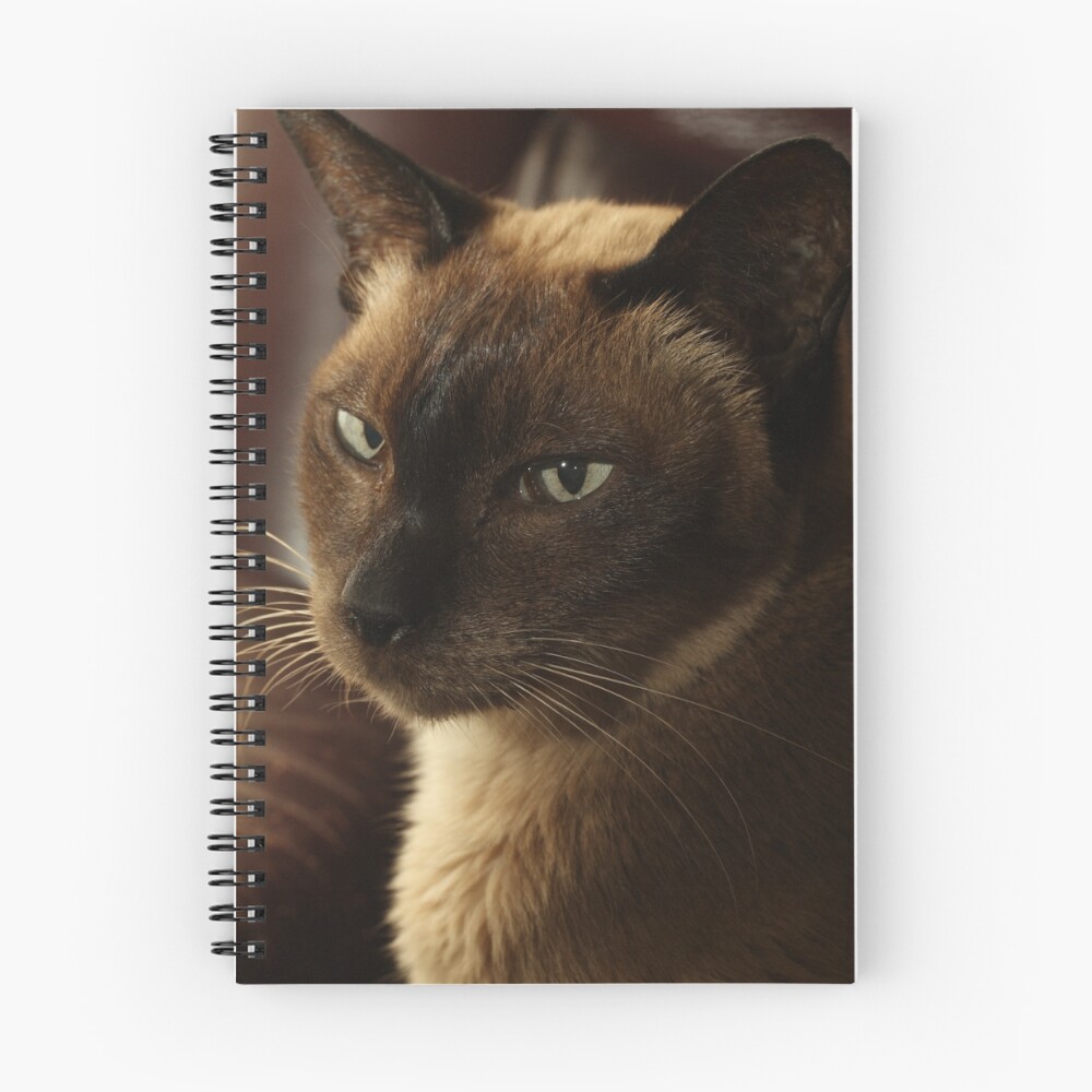 Item preview, Spiral Notebook designed and sold by Raychel.