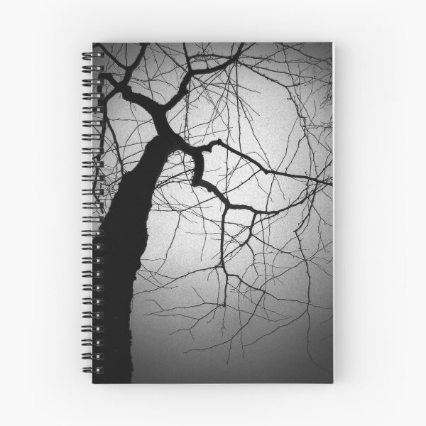 Item preview, Berlin tree designed and sold by Brendan Ó Sé.