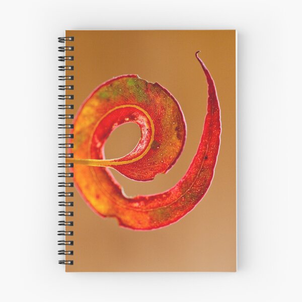 Item preview, Leaf detail, Ridgeway, Tasmania, Cover designed and sold by Andy Townsend.