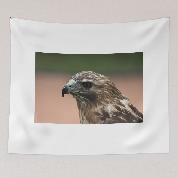 Item preview, Red-Tailed Hawk designed and sold by Alyce Taylor.