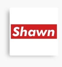 Shawn Mendes Canvas Print
