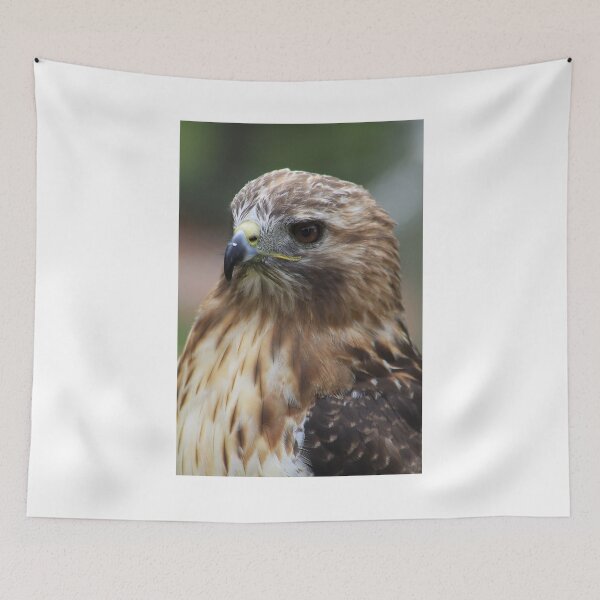 Item preview, Red-Tailed Hawk designed and sold by Alyce Taylor.