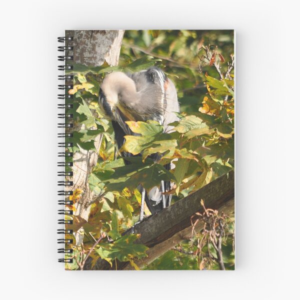 Item preview, Preening designed and sold by Carl Olsen.
