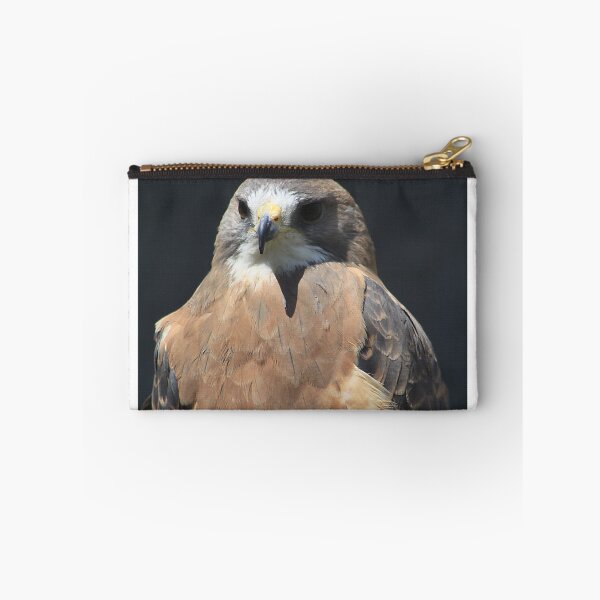 Item preview, Swainson's Hawk designed and sold by Alyce Taylor.