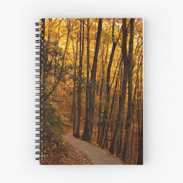 Item preview, Bright Path! designed and sold by vasu.