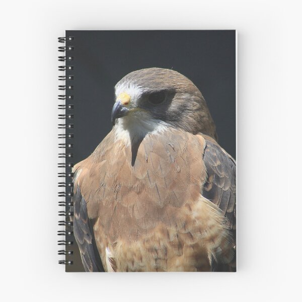 Item preview, Swainson's Hawk designed and sold by Alyce Taylor.