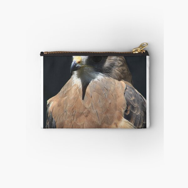 Item preview, Swainson's Hawk designed and sold by Alyce Taylor.
