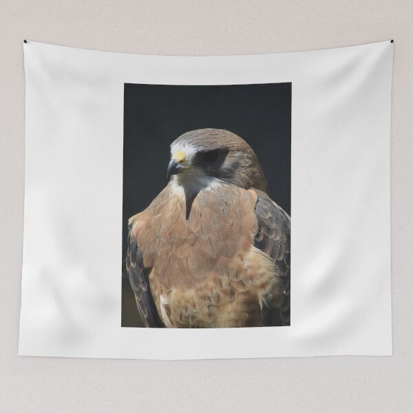 Item preview, Swainson's Hawk designed and sold by Alyce Taylor.