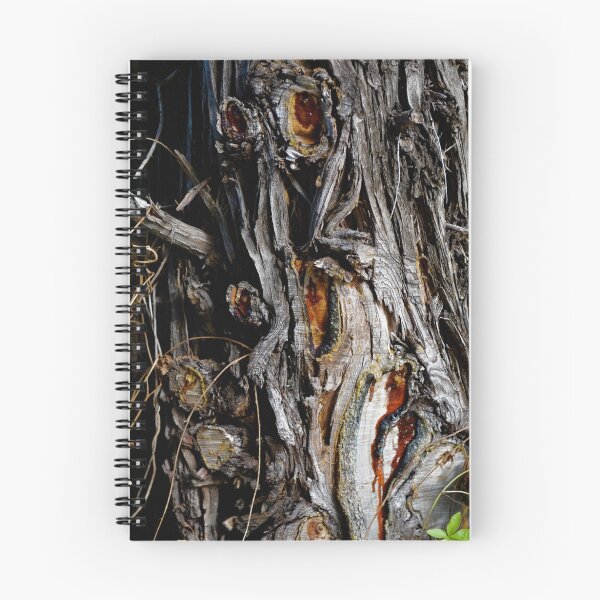 Item preview, Tree trunk textures designed and sold by James  Kerr.