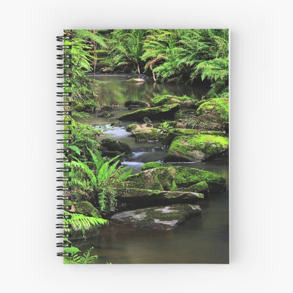 Item preview, Sheoak Creek  designed and sold by Stephen Ruane.