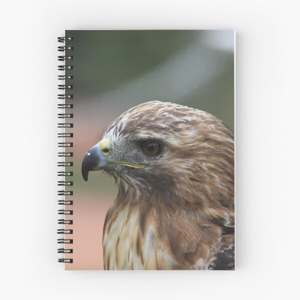 Item preview, Red-Tailed Hawk designed and sold by Alyce Taylor.