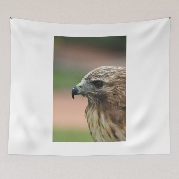 Item preview, Red-Tailed Hawk designed and sold by Alyce Taylor.