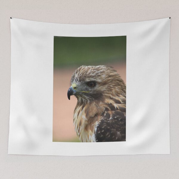 Item preview, Red-Tailed Hawk designed and sold by Alyce Taylor.