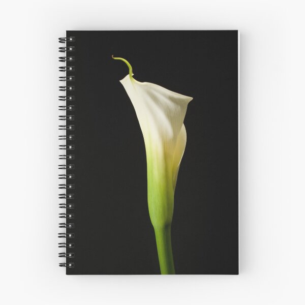 Item preview, Calla Shoulder - color still life photo designed and sold by Brian Thedell.