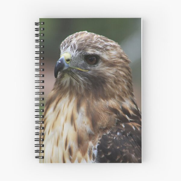Item preview, Red-Tailed Hawk designed and sold by Alyce Taylor.