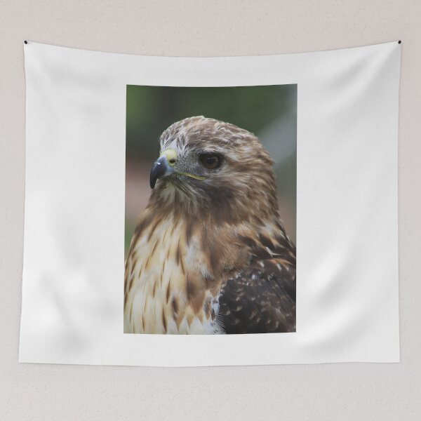 Item preview, Red-Tailed Hawk designed and sold by Alyce Taylor.