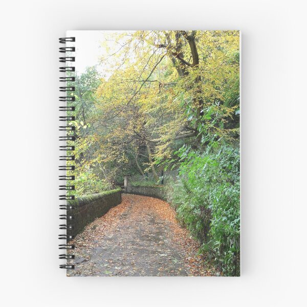 Item preview, Will you walk awhile with me? designed and sold by Braedene.