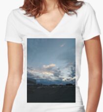 #winter #nature #snow #frost #outdoors #icee #cold #wood #season #bird #tree #frozen #dry #garden #grass #weather #horizontal #colorimage #nopeople #closeup #plant #day #animal Women's Fitted V-Neck T-Shirt