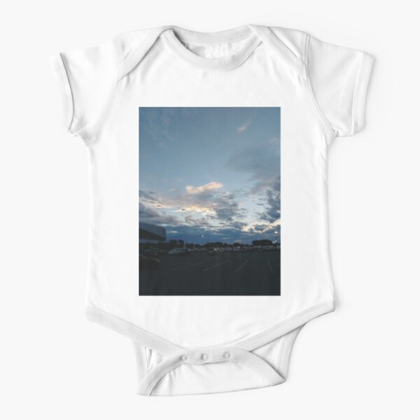 #winter #nature #snow #frost #outdoors #icee #cold #wood #season #bird #tree #frozen #dry #garden #grass #weather #horizontal #colorimage #nopeople #closeup #plant #day #animal Short Sleeve Baby One-Piece
