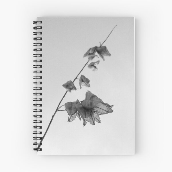 Item preview, Delicate  designed and sold by Path-Finder.