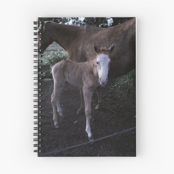 Item preview, A new Skyhorse designed and sold by Skyhorse.