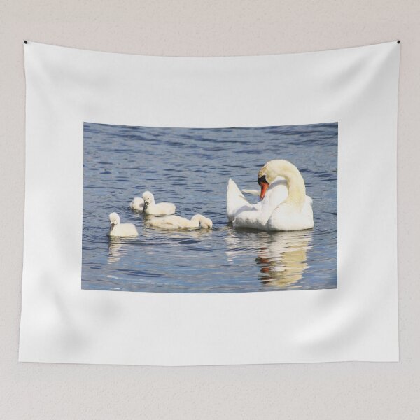 Item preview, Mute Swans designed and sold by Alyce Taylor.