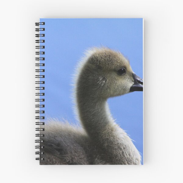 Item preview, Cygnet designed and sold by Alyce Taylor.