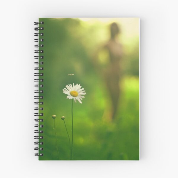 Item preview, Chrysanthemum leucanthemum designed and sold by PhilNeff.